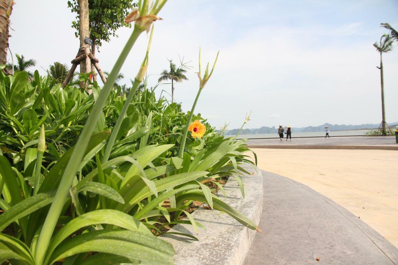 Kp Relax Halong Homestay 반장현 외부 사진